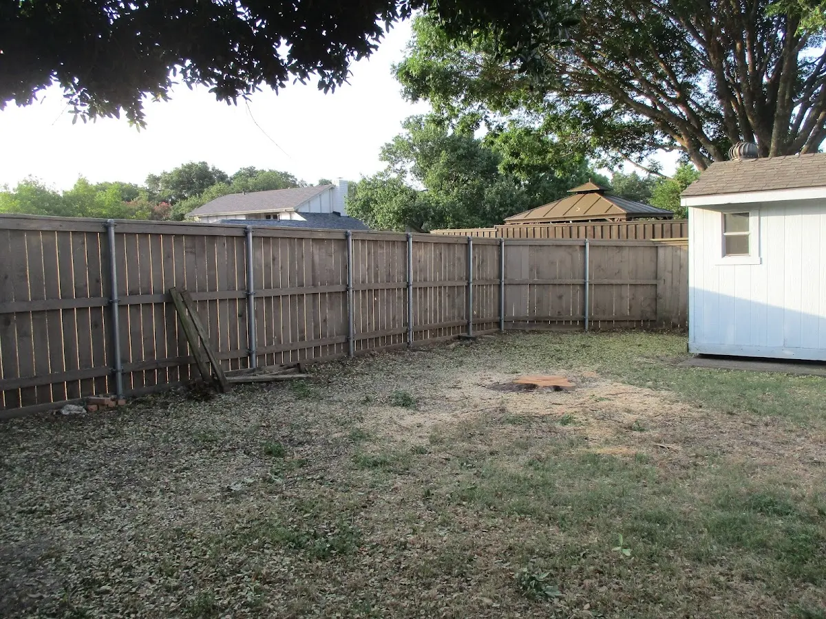 Cleared yard after professional tree removal in Cotulla